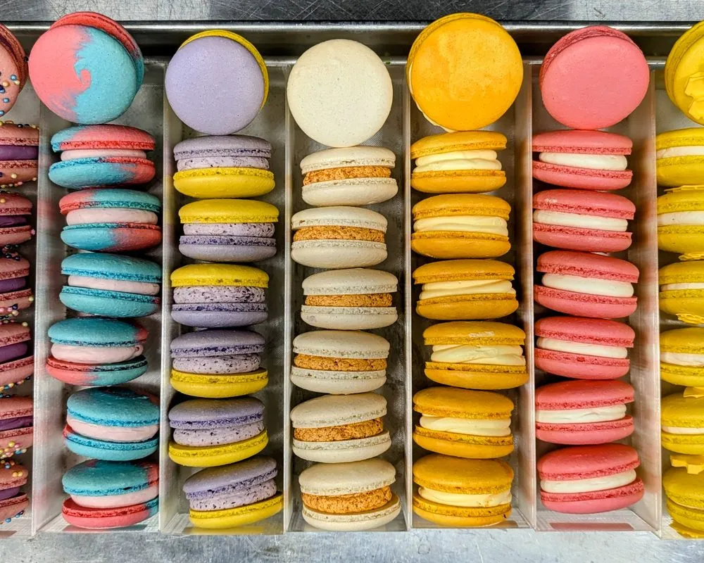 Tray of macarons in rows of pink, blue, lavender, vanilla, orange and lemon